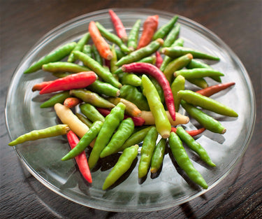 25 Organic KOREAN Dark GREEN PEPPER Lady Han Hot Chili Long Red Capsicum Annuum Seeds